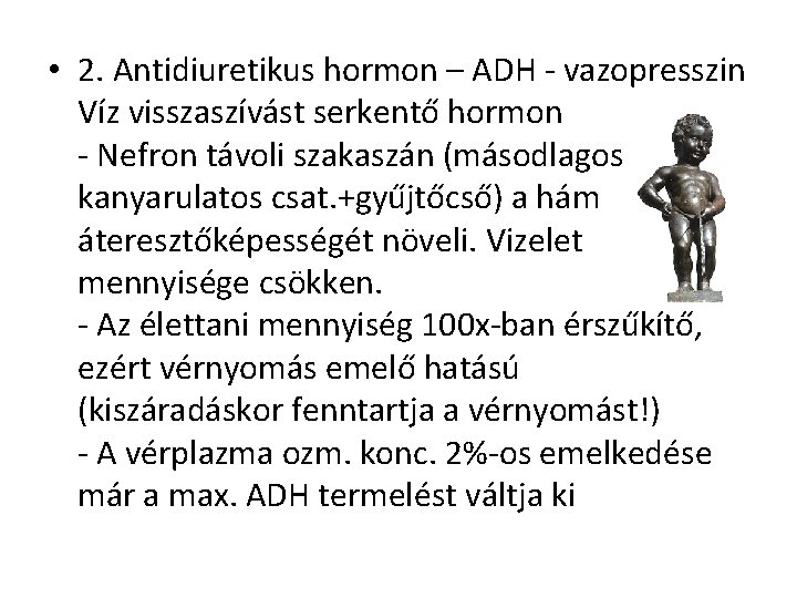  • 2. Antidiuretikus hormon – ADH - vazopresszin Víz visszaszívást serkentő hormon -