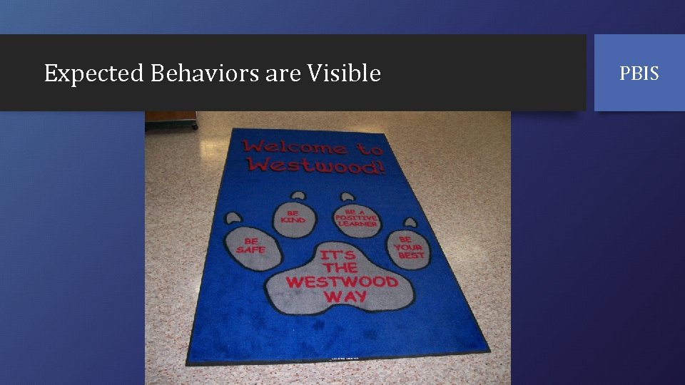 Expected Behaviors are Visible PBIS 