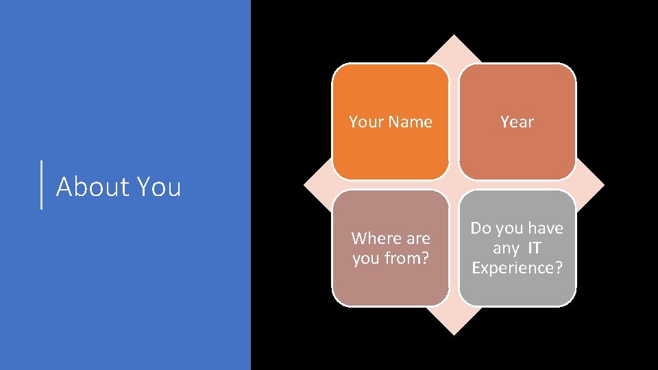Your Name Year Where are you from? Do you have any IT Experience? About