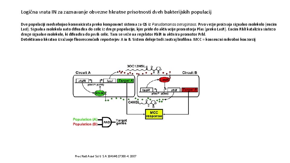 Logična vrata IN za zaznavanje obvezne hkratne prisotnosti dveh bakterijskih populacij Dve populaciji medsebojno