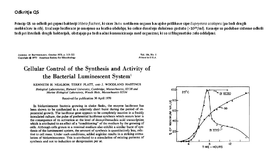Odkritje QS Princip QS so odkrili pri gojeni bakteriji Vibrio fischeri, ki sicer živi