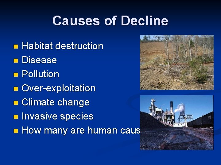 Causes of Decline Habitat destruction n Disease n Pollution n Over-exploitation n Climate change