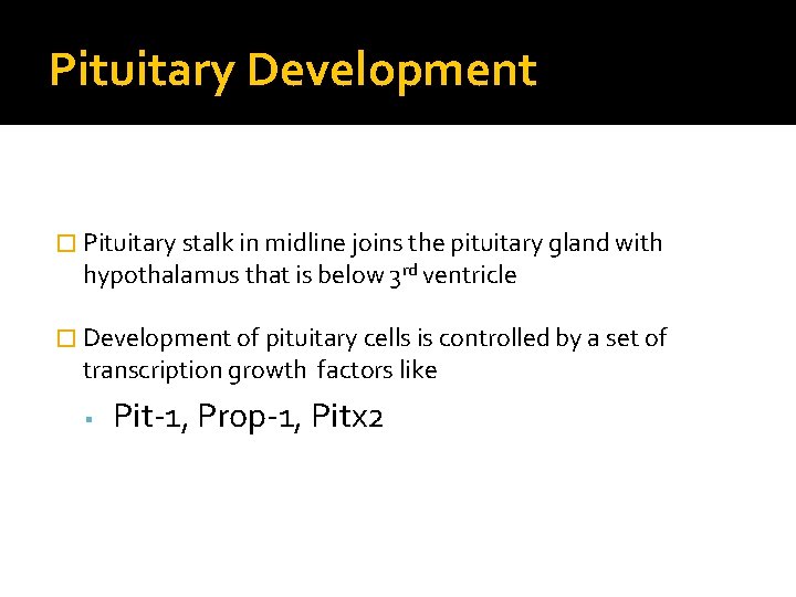 Pituitary Development � Pituitary stalk in midline joins the pituitary gland with hypothalamus that