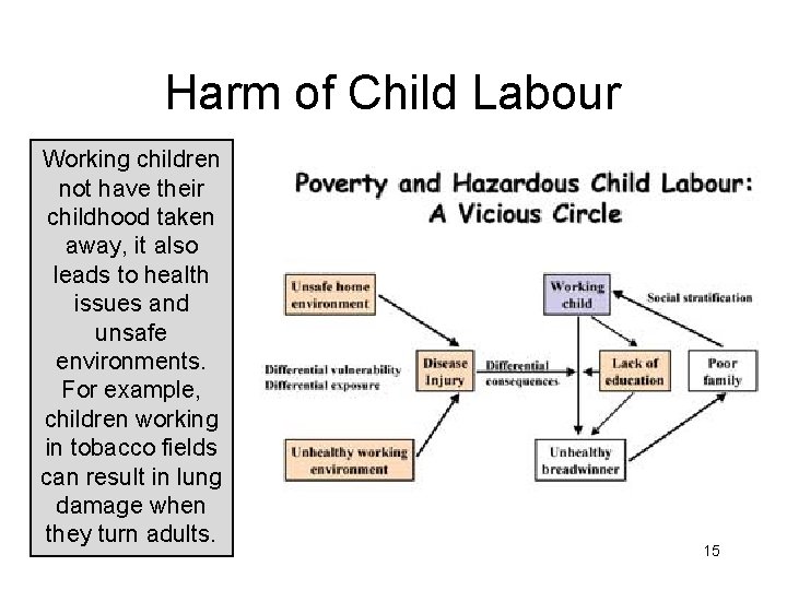Harm of Child Labour Working children not have their childhood taken away, it also