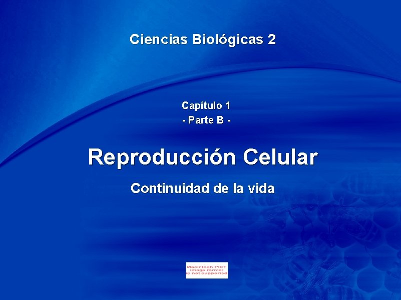 Chapter 1 Ciencias Biológicas 2 Capítulo 1 - Parte B - Reproducción Celular Continuidad