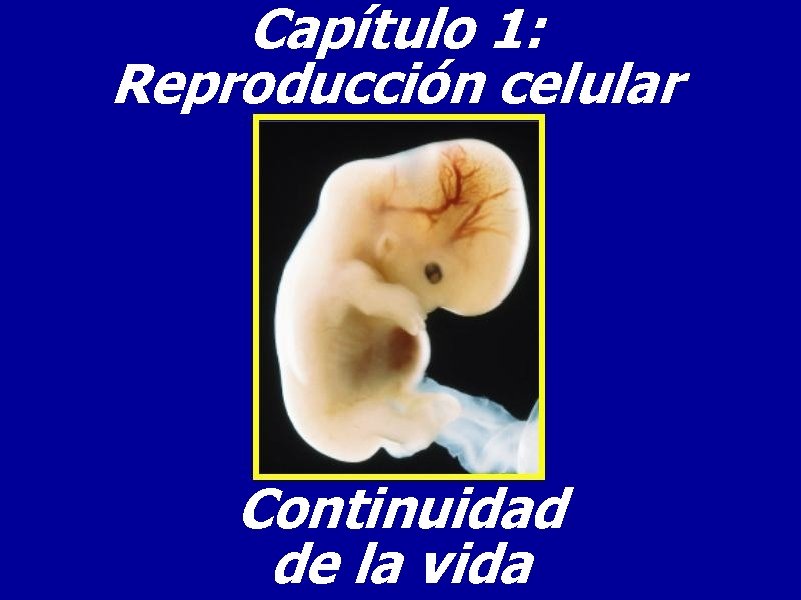 Capítulo 1: Reproducción celular Continuidad de la vida 