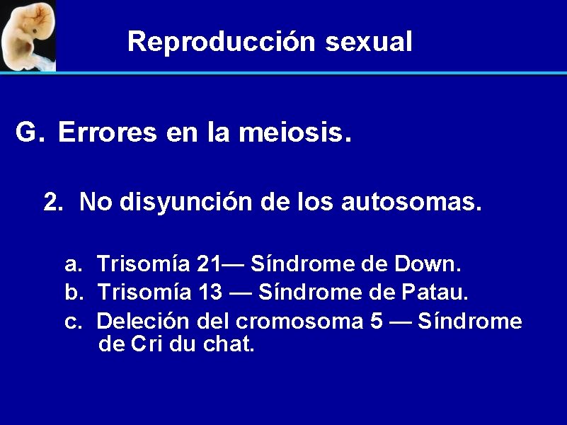 Reproducción sexual G. Errores en la meiosis. 2. No disyunción de los autosomas. a.