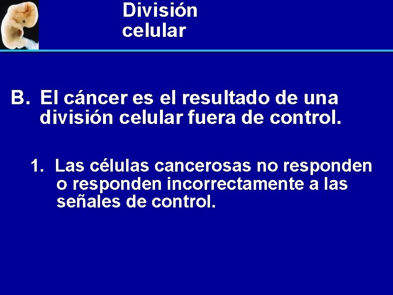 División celular B. El cáncer es el resultado de una división celular fuera de