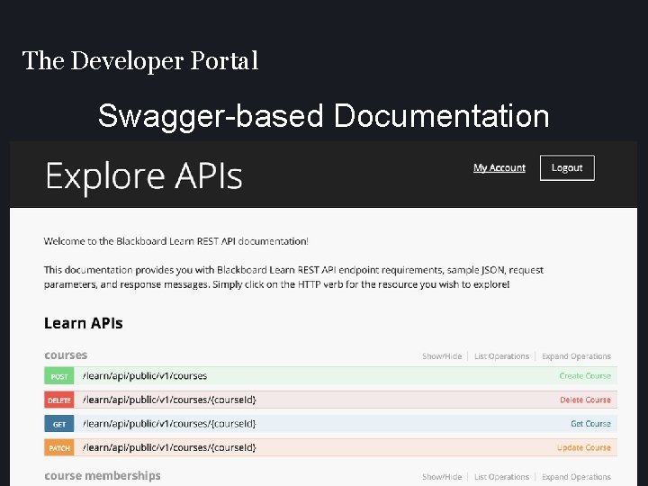 The Developer Portal Swagger-based Documentation 