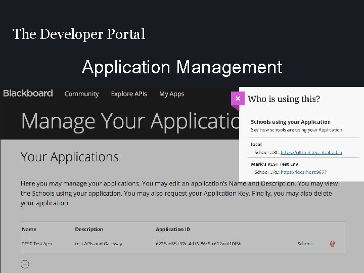 The Developer Portal Application Management 