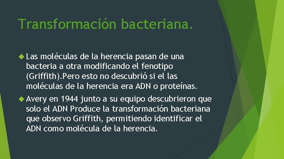 Transformación bacteriana. Las moléculas de la herencia pasan de una bacteria a otra modificando