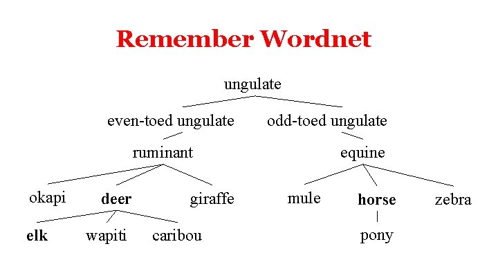 Remember Wordnet ungulate even-toed ungulate odd-toed ungulate ruminant okapi elk deer wapiti giraffe caribou