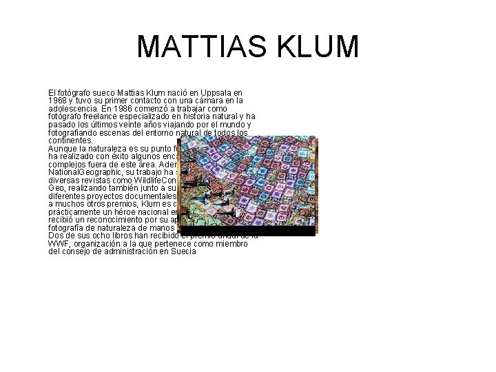 MATTIAS KLUM El fotógrafo sueco Mattias Klum nació en Uppsala en 1968 y tuvo