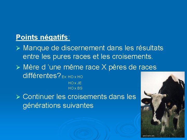 Points négatifs: Ø Manque de discernement dans les résultats entre les pures races et