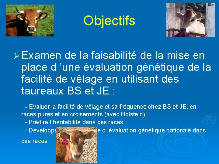 Objectifs Ø Examen de la faisabilité de la mise en place d ’une évaluation