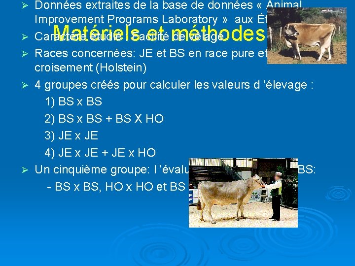 Données extraites de la base de données « Animal Improvement Programs Laboratory » aux