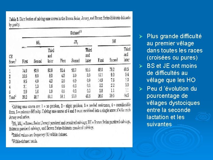 Plus grande difficulté au premier vêlage dans toutes les races (croisées ou pures) Ø