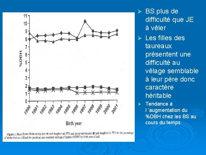 BS plus de difficulté que JE à vêler Ø Les filles des taureaux présentent