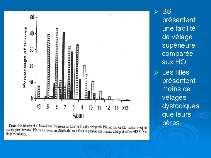 BS présentent une facilité de vêlage supérieure comparée aux HO. Ø Les filles présentent