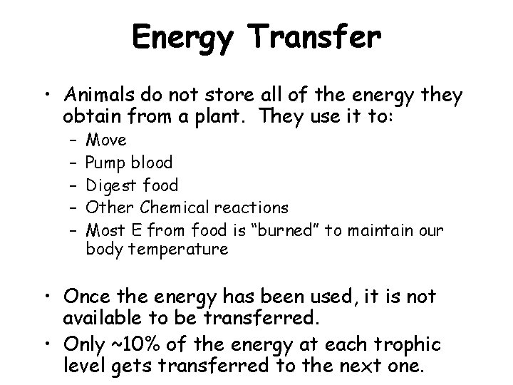 Energy Transfer • Animals do not store all of the energy they obtain from