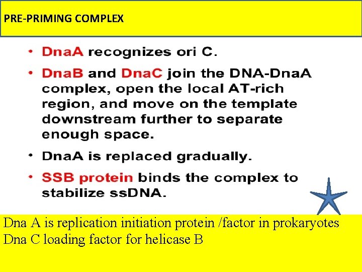 DNAREPLICATION IN PROKARYOTES Study Material for B Sc