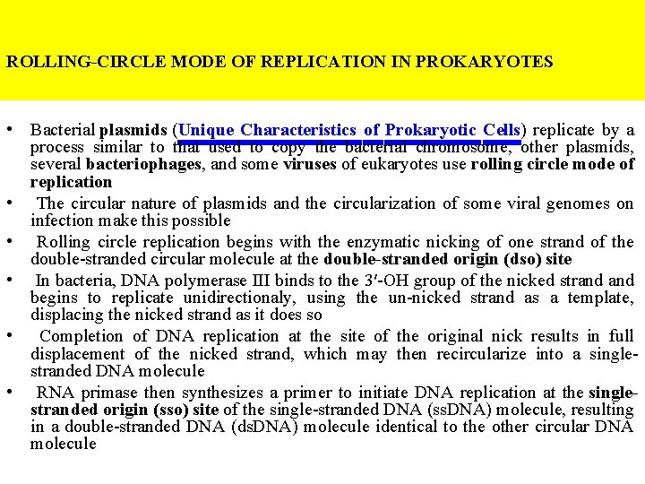 ROLLING-CIRCLE MODE OF REPLICATION IN PROKARYOTES • Bacterial plasmids (Unique Characteristics of Prokaryotic Cells)