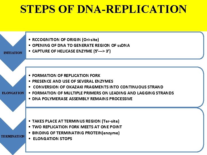 STEPS OF DNA-REPLICATION INITIATION ELONGATION TERMINATION • RCCOGNITION OF ORIGIN (Ori-site) • OPENING OF
