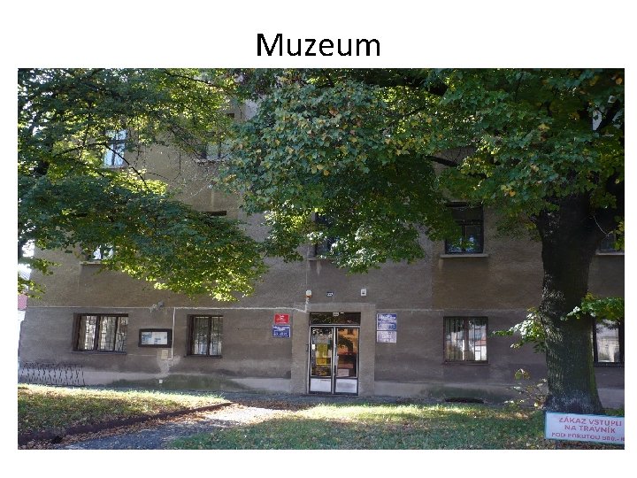 Muzeum 