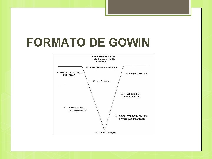 FORMATO DE GOWIN 