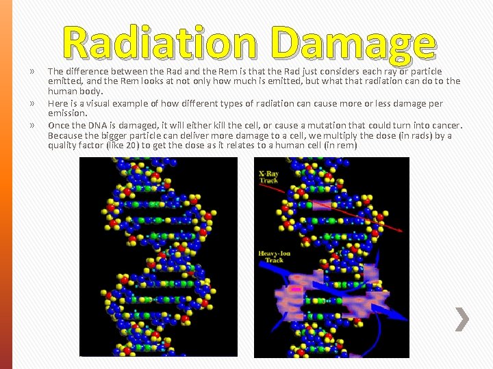 » » » Radiation Damage The difference between the Rad and the Rem is