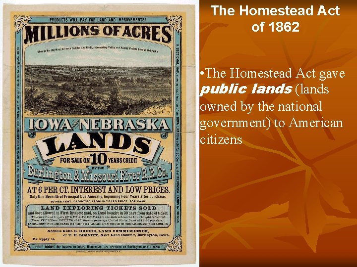 The Homestead Act of 1862 • The Homestead Act gave public lands (lands owned