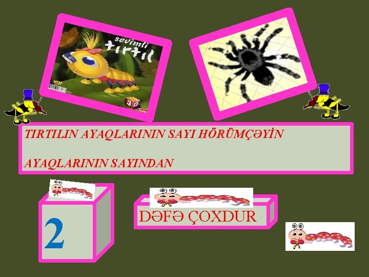 TIRTILIN AYAQLARININ SAYI HÖRÜMÇƏYİN AYAQLARININ SAYINDAN 2 DƏFƏ ÇOXDUR 