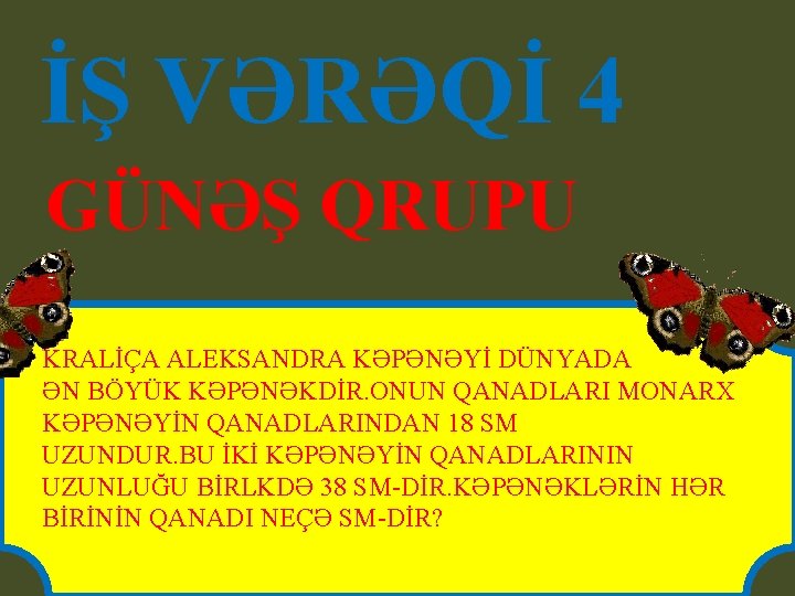 İŞ VƏRƏQİ 4 GÜNƏŞ QRUPU KRALİÇA ALEKSANDRA KƏPƏNƏYİ DÜNYADA ƏN BÖYÜK KƏPƏNƏKDİR. ONUN QANADLARI