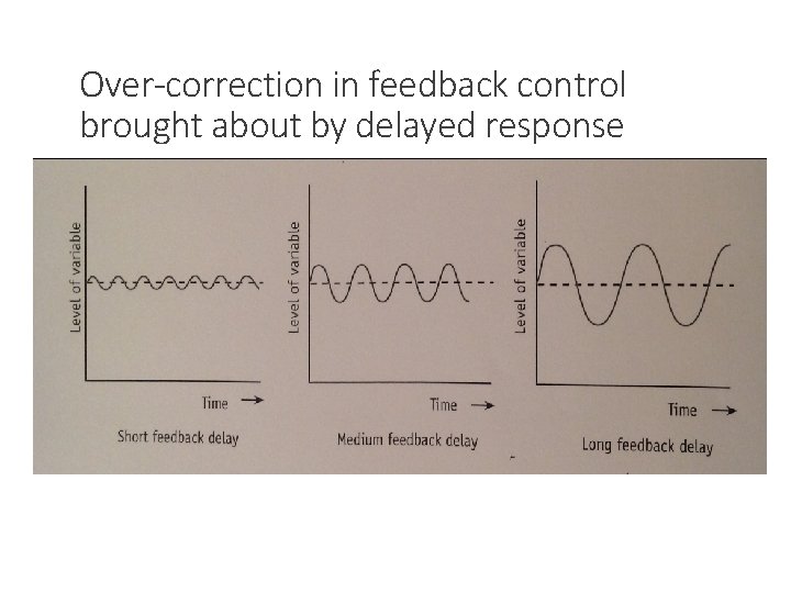 Over-correction in feedback control brought about by delayed response 