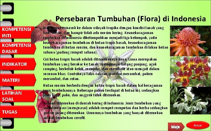 Persebaran Tumbuhan (Flora) di Indonesia KOMPETENSI INTI KOMPETENSI DASAR INDIKATOR MATERI LATIHAN SOAL TUGAS