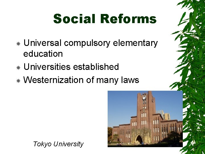 Social Reforms Universal compulsory elementary education Universities established Westernization of many laws Tokyo University