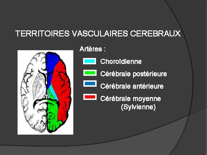 TERRITOIRES VASCULAIRES CEREBRAUX Artères : Choroïdienne Cérébrale postérieure Cérébrale antérieure Cérébrale moyenne (Sylvienne) 