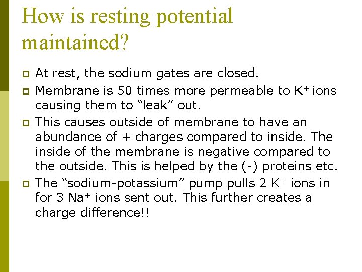 How is resting potential maintained? p p At rest, the sodium gates are closed.