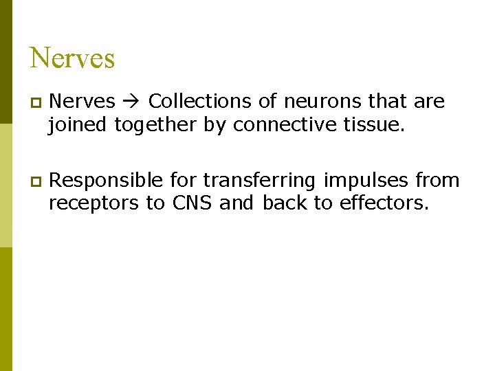 Nerves p Nerves Collections of neurons that are joined together by connective tissue. p