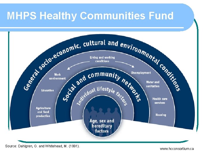 MHPS Healthy Communities Fund Source: Dahlgren, G. and Whitehead, M. (1991). www. hcconsortium. ca