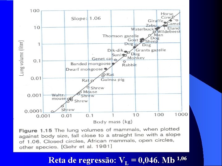 Reta de regressão: VL = 0, 046. Mb 1, 06 