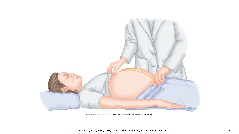 Copyright © 2014, 2010, 2006, 2002, 1998, 1994, by Saunders, an imprint of Elsevier