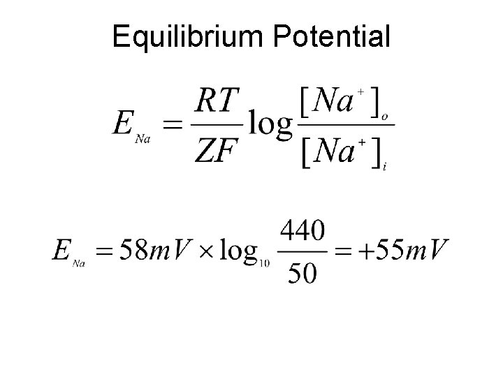 Equilibrium Potential 