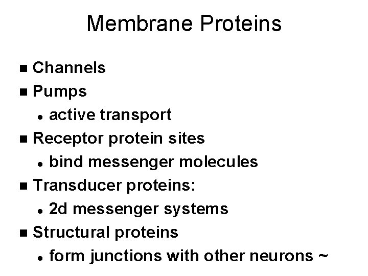 Membrane Proteins Channels n Pumps l active transport n Receptor protein sites l bind