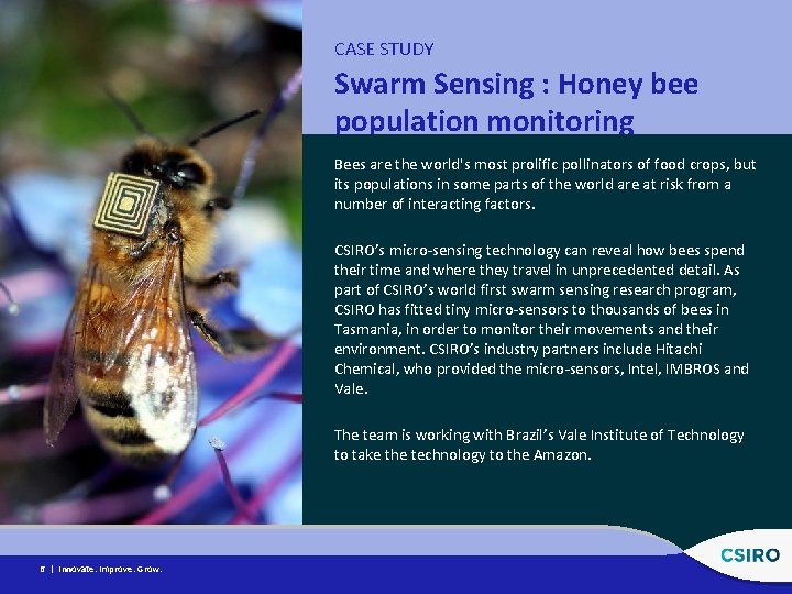 CASE STUDY Swarm Sensing : Honey bee population monitoring Bees are the world's most