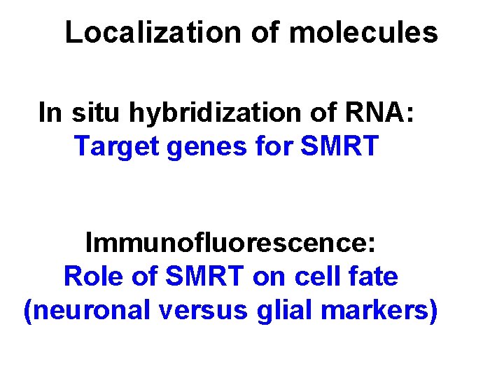 Localization of molecules In situ hybridization of RNA: Target genes for SMRT Immunofluorescence: Role