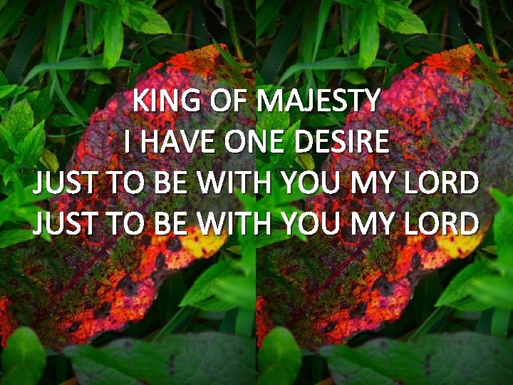 KING OF MAJESTY I HAVE ONE DESIRE JUST TO BE WITH YOU MY LORD