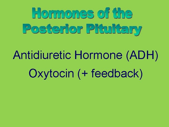 Antidiuretic Hormone (ADH) Oxytocin (+ feedback) 