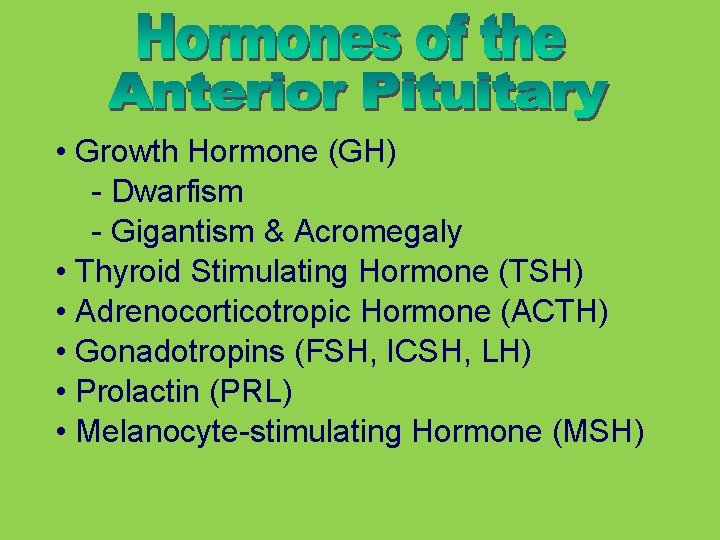  • Growth Hormone (GH) - Dwarfism - Gigantism & Acromegaly • Thyroid Stimulating