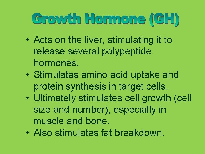  • Acts on the liver, stimulating it to release several polypeptide hormones. •